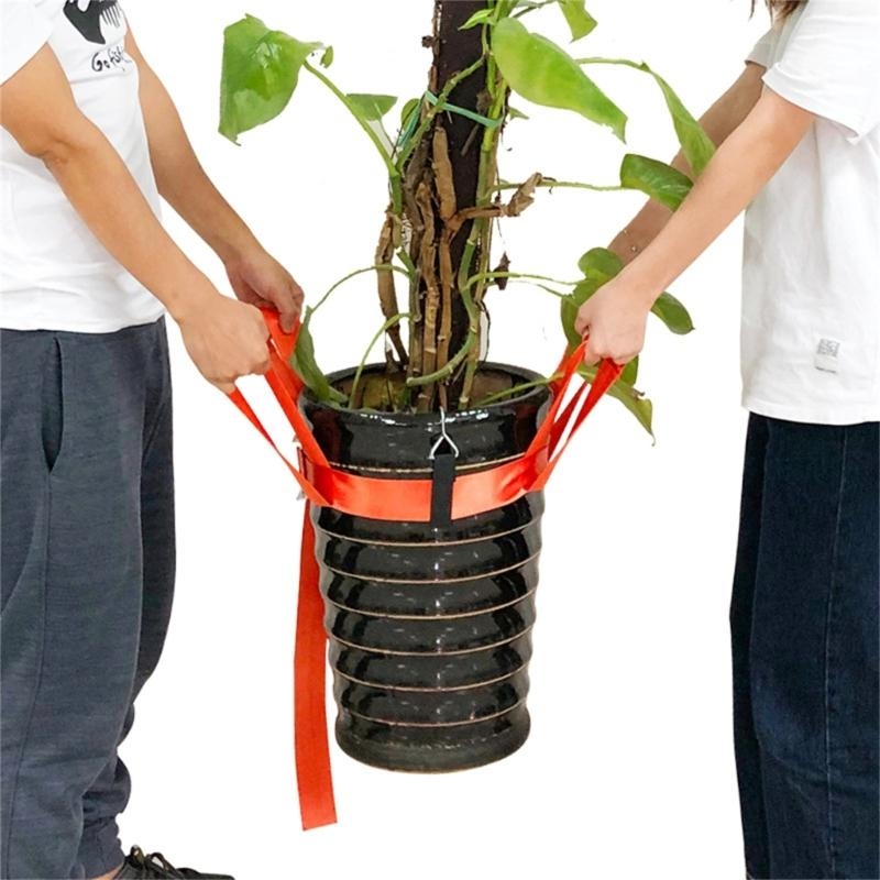 สายรัดการยกพืชไม้กระถางเพื่อทำ - Heavy Equipment Transporter บทวิจารณ์และราคา